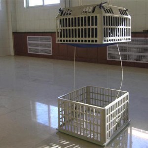 更衣草莓视频在线播放