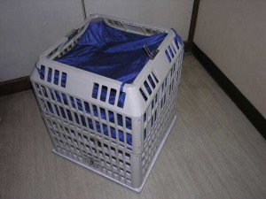 更衣草莓视频在线播放