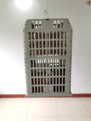 更衣草莓视频在线播放